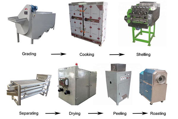 cashew nut processing machine.jpg 